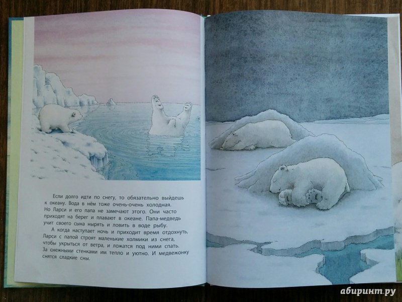 Иллюстрация 23 из 49 для Приключение белого медвежонка - Беер Де | Лабиринт - книги. Источник: Natalie Leigh