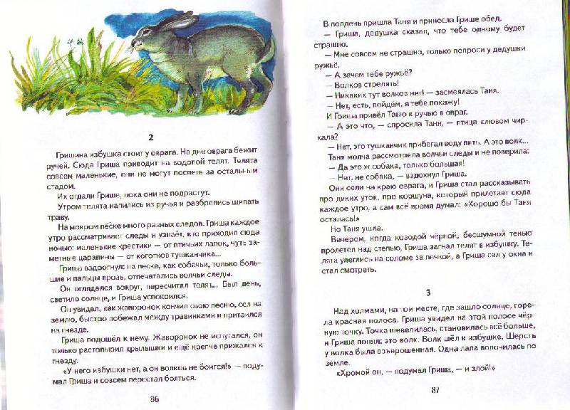 Иллюстрация 27 из 31 для Охотничьи истории - Геннадий Снегирев | Лабиринт - книги. Источник: Ya_ha