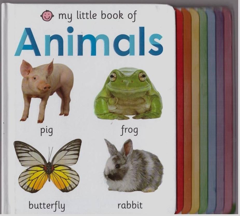 Иллюстрация 2 из 11 для My Little Book of Animals - Roger Priddy | Лабиринт - книги. Источник: LanaEr