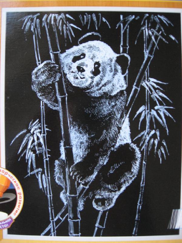 Иллюстрация 3 из 7 для Гравюра: Жизнь животных. Панда | Лабиринт - игрушки. Источник: Юта