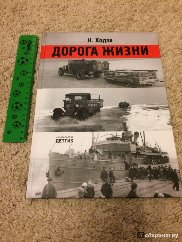 Иллюстрация 10 из 43 для Дорога жизни - Нисон Ходза | Лабиринт - книги. Источник: risarella