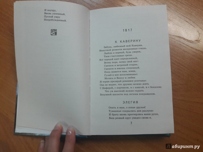 Иллюстрация 23 из 30 для Стихотворения. Поэмы - Александр Пушкин | Лабиринт - книги. Источник: Глушкова  Юлия