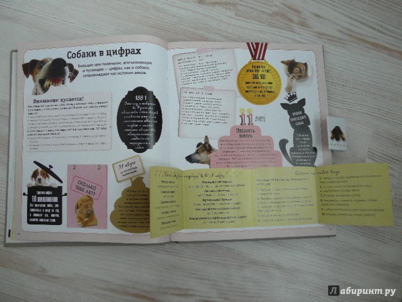 Иллюстрация 3 из 29 для Собаки. Подарок для всех, кто обожает собак - Жан Кювелье | Лабиринт - книги. Источник: Перфекционистка