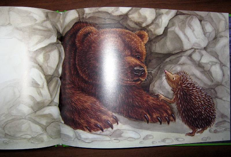 Иллюстрация 10 из 28 для Сказка про Ёжика | Лабиринт - книги. Источник: Спанч Боб