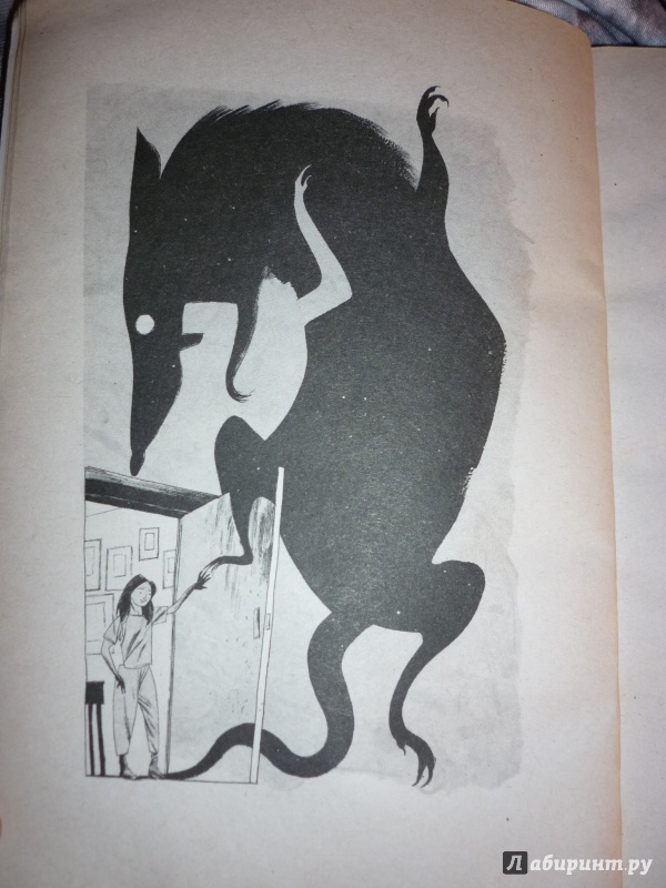 Иллюстрация 15 из 30 для Coraline - Neil Gaiman | Лабиринт - книги. Источник: Lapsus Linguae