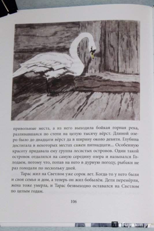 Иллюстрация 39 из 53 для Рассказы и сказки - Дмитрий Мамин-Сибиряк | Лабиринт - книги. Источник: Katerina