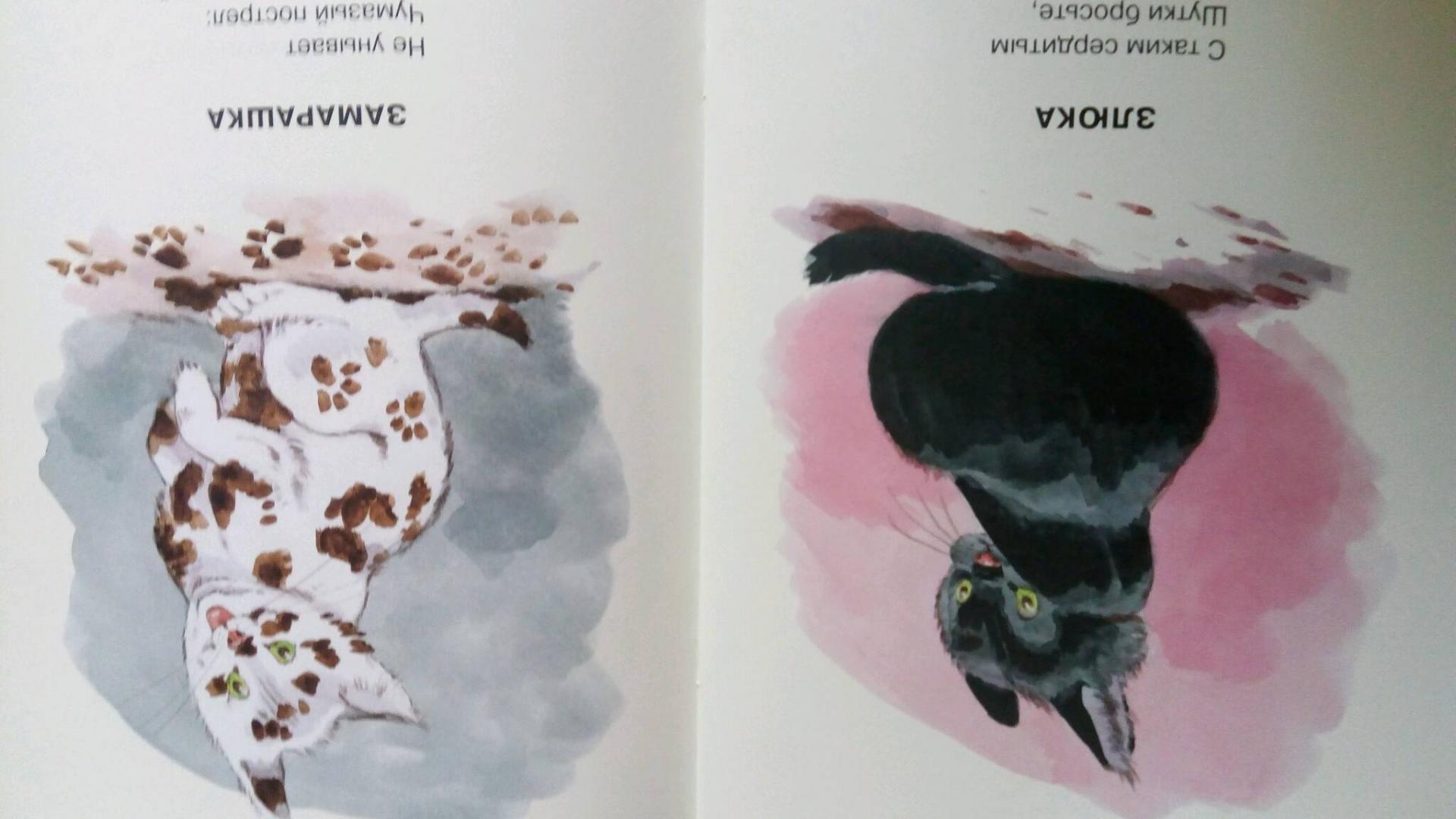 Иллюстрация 60 из 64 для Посмотрите какие котята - Владимир Матвеев | Лабиринт - книги. Источник: Ерачина Светлана