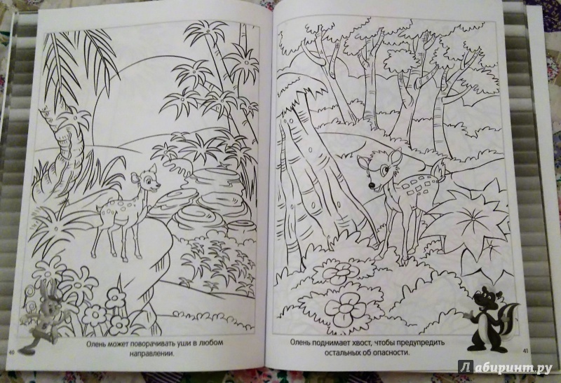 Иллюстрация 7 из 20 для Веселая раскраска. Дикие Джунгли | Лабиринт - книги. Источник: Юлия
