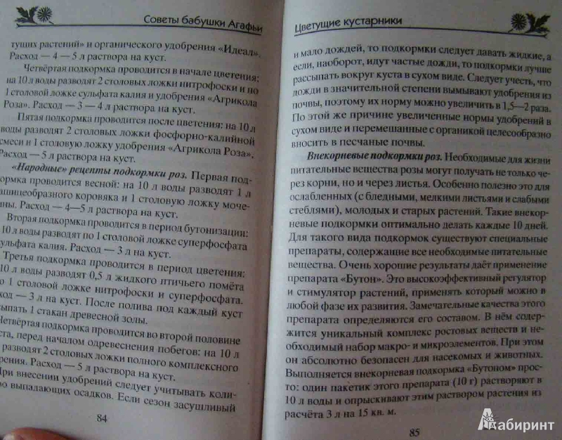 Иллюстрация 9 из 9 для Многолетние цветы дивной красоты. Выращивание, размножение, уход - Агафья Звонарева | Лабиринт - книги. Источник: Easy