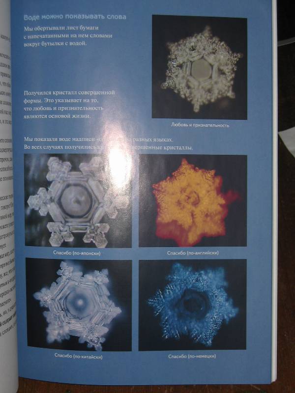 Иллюстрация 1 из 8 для Послания воды: Тайные коды кристаллов льда - Масару Эмото | Лабиринт - книги. Источник: ТОЧКА