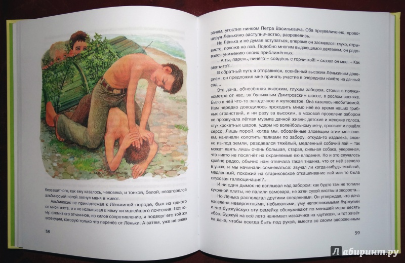 Иллюстрация 34 из 38 для Рассказы для детей - Юрий Нагибин | Лабиринт - книги. Источник: nata_romina