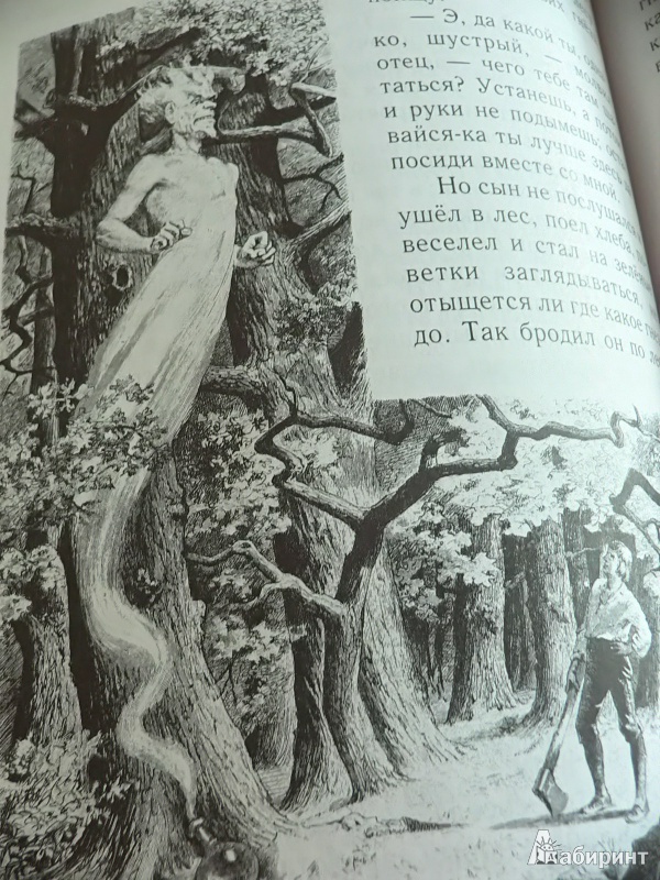 Иллюстрация 12 из 95 для Сказки - Гримм Якоб и Вильгельм | Лабиринт - книги. Источник: In_Ferrum