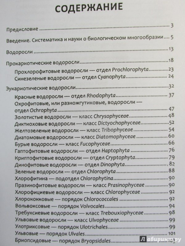 Иллюстрация 44 из 47 для Биологическое разнообразие: водоросли и грибы - Мухин, Третьякова | Лабиринт - книги. Источник: Алекс