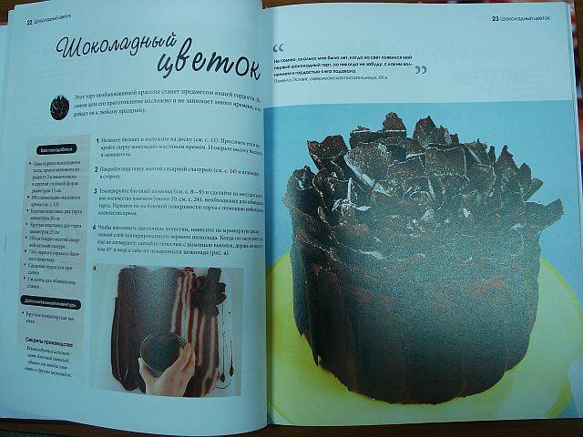 Иллюстрация 42 из 45 для Шоколадные торты - Том Филлипс | Лабиринт - книги. Источник: rizik