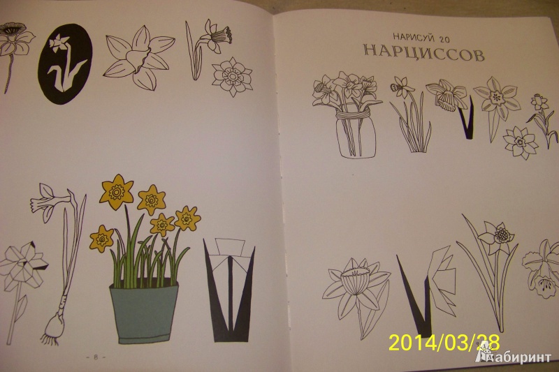Иллюстрация 13 из 38 для 20 способов нарисовать тюльпан и 44 других прекрасных цветка - Лиза Конгдон | Лабиринт - книги. Источник: G