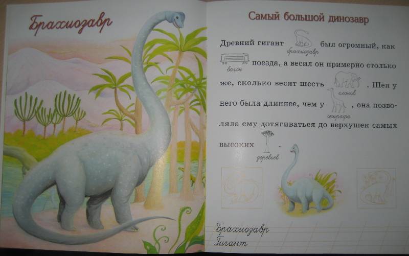 Иллюстрация 11 из 14 для Динозавры | Лабиринт - книги. Источник: Рудометкина  Светлана Валентиновна