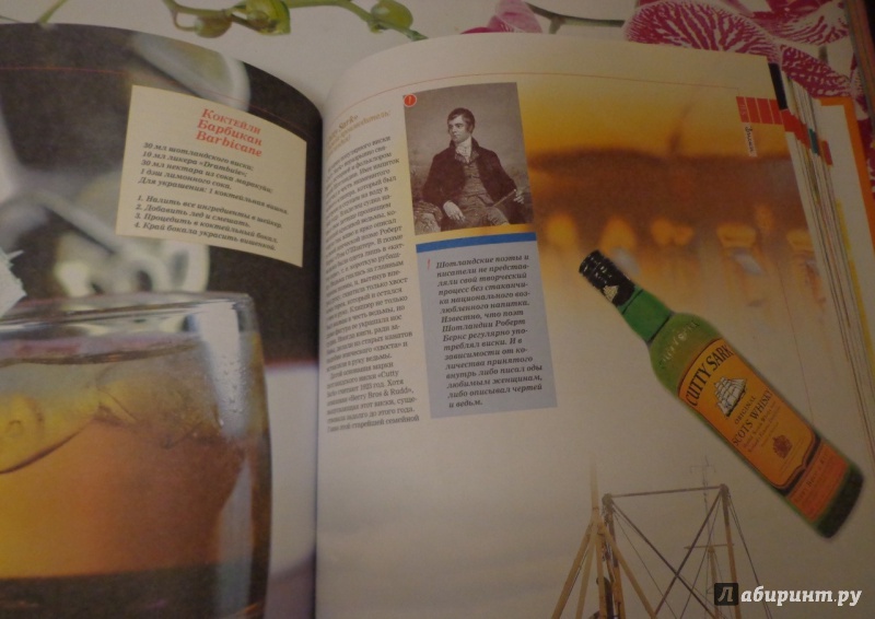 Иллюстрация 4 из 12 для 100 самых знаменитых алкогольных напитков и коктейлей мира - Дарья Ермакович | Лабиринт - книги. Источник: Космос