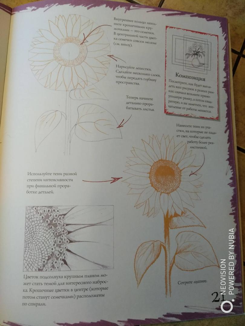 Иллюстрация 14 из 21 для Как рисовать. Цветы - Марк Берджин | Лабиринт - книги. Источник: Филифьонка