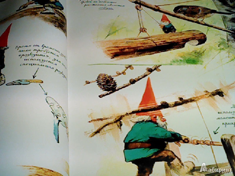 Иллюстрация 48 из 77 для Тайны гномов - Вил Хёйген | Лабиринт - книги. Источник: St.Rokka