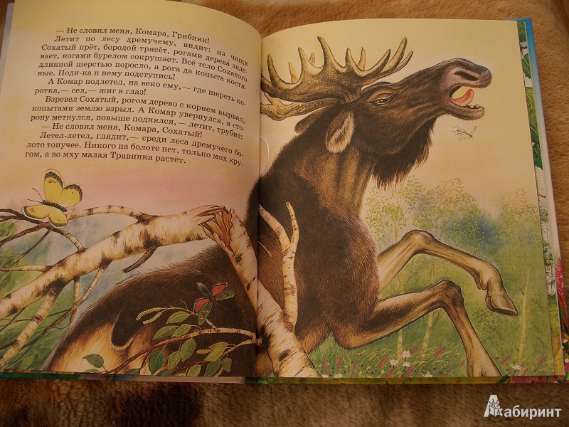 Иллюстрация 21 из 22 для Сказки о природе - Виталий Бианки | Лабиринт - книги. Источник: variae lectiones
