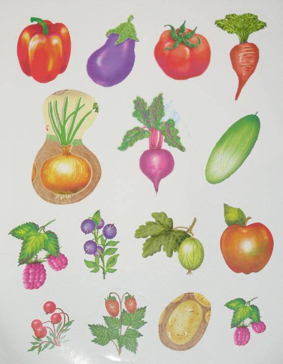Иллюстрация 7 из 7 для Овощи и фрукты | Лабиринт - книги. Источник: Слабоспицкая  Ольга Николаевна