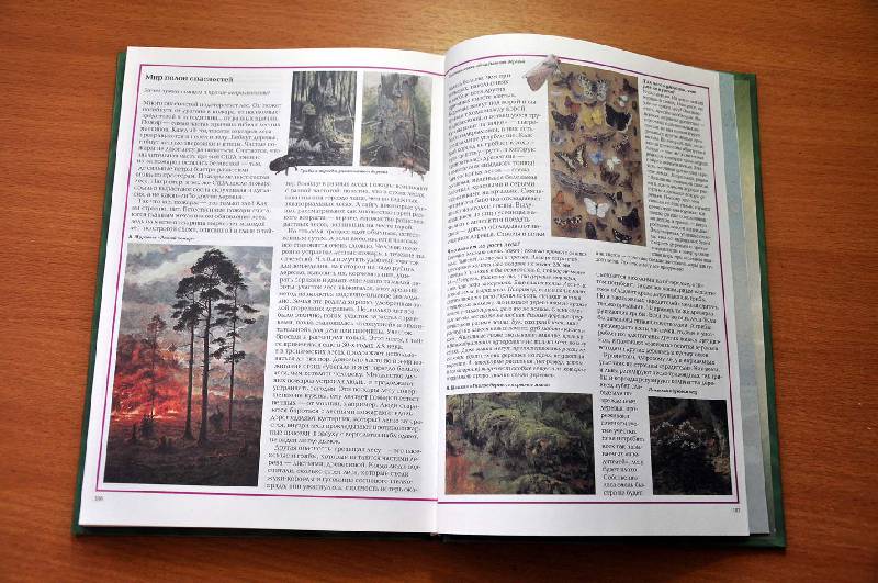 Иллюстрация 33 из 44 для Чудеса живой природы - Калашников, Лаврова | Лабиринт - книги. Источник: Ассоль