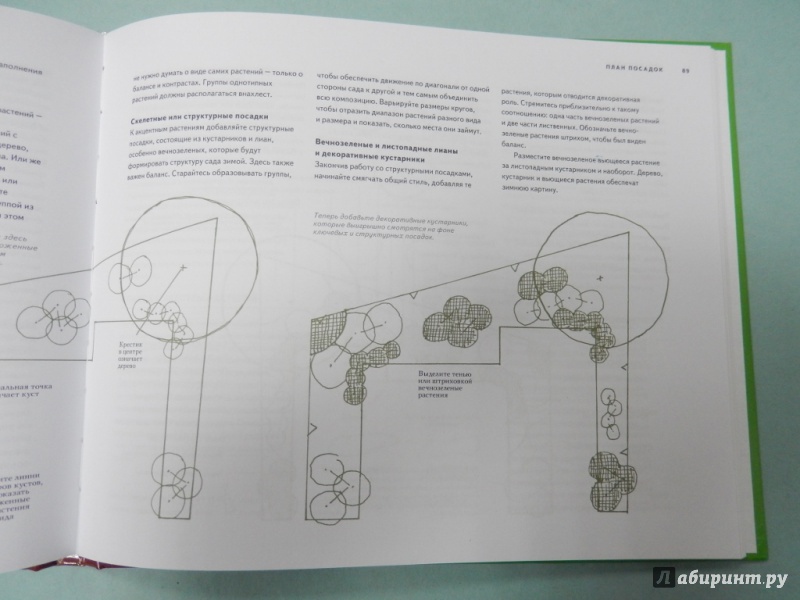 Иллюстрация 12 из 26 для Дизайн сада. Профессиональный подход - Бэтстоун, Александер | Лабиринт - книги. Источник: dbyyb