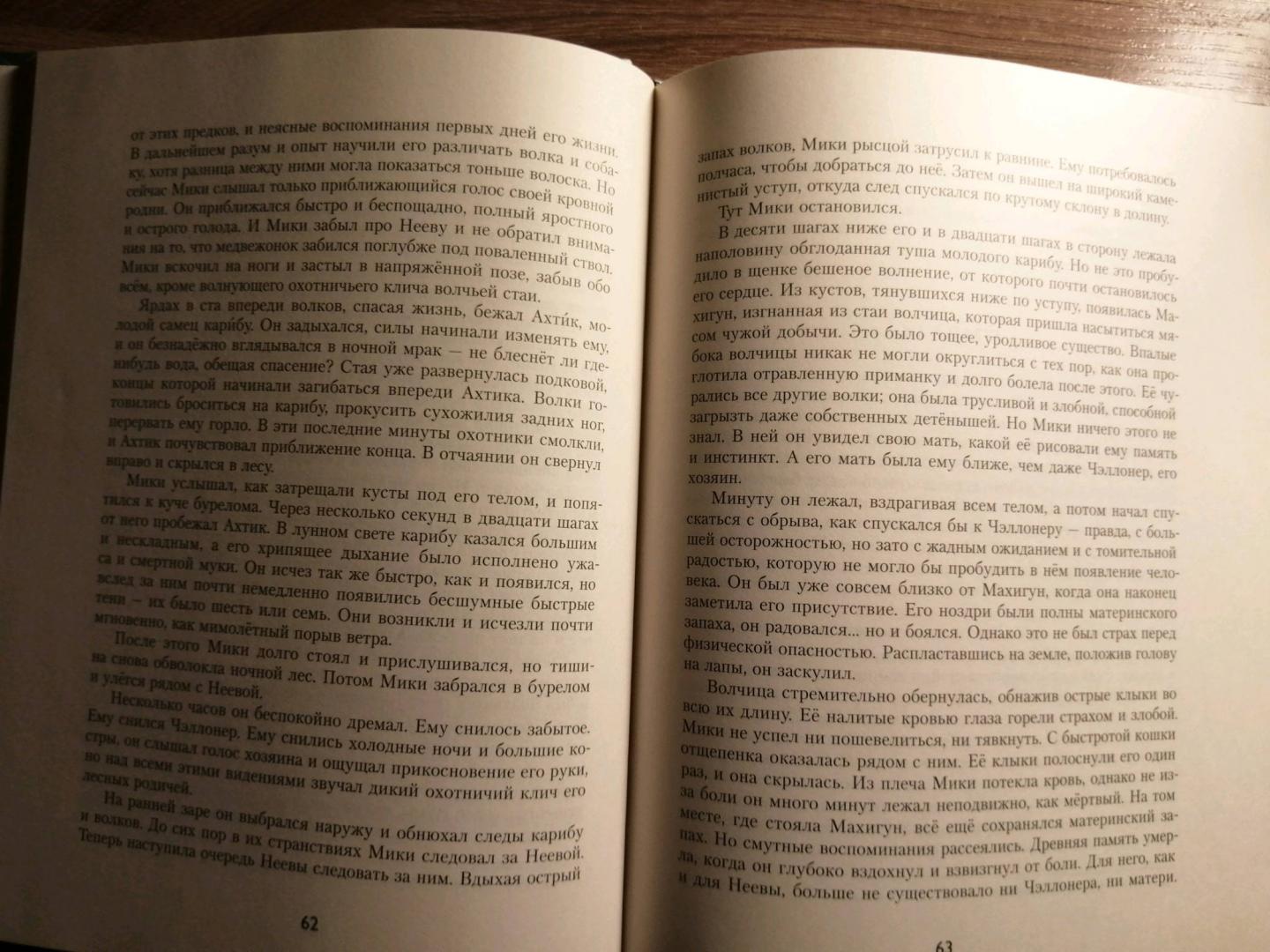 Иллюстрация 23 из 25 для Бродяги Севера - Джеймс Кервуд | Лабиринт - книги. Источник: Лабиринт