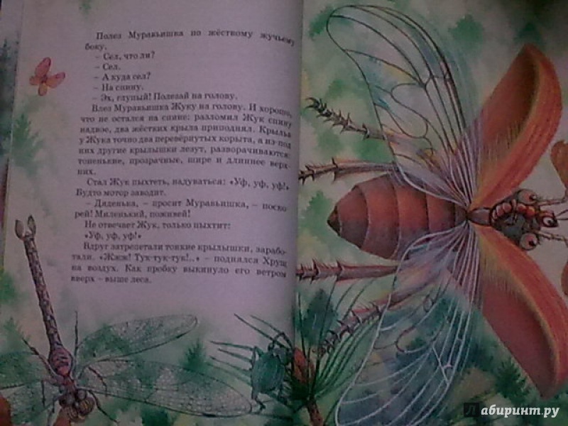 Иллюстрация 27 из 41 для Большая книга сказок - Виталий Бианки | Лабиринт - книги. Источник: н.в.а.