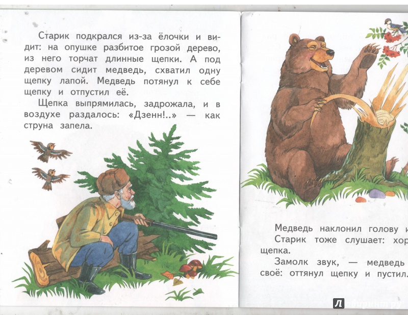 Медведь читать рассказ. Иллюстрации к рассказу Бианки музыкант. Медведь-музыкант рассказ Бианки. Рассказ Бианки музыкант.