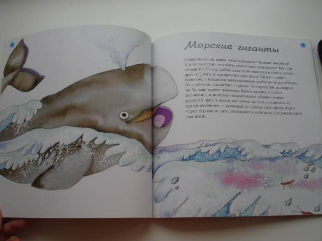 Иллюстрация 32 из 32 для Море - Нуриа Рока | Лабиринт - книги. Источник: Осьминожка