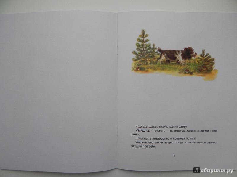 Иллюстрация 14 из 58 для Первая охота - Виталий Бианки | Лабиринт - книги. Источник: Мелкова  Оксана