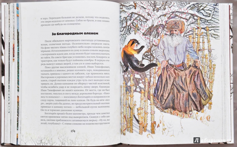 Иллюстрация 144 из 154 для Золотая Ригма - Всеволод Сысоев | Лабиринт - книги. Источник: Раскова  Юлия