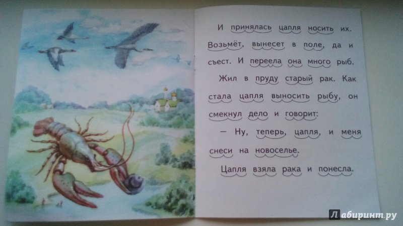 Иллюстрация 20 из 22 для Лисий хвост - Лев Толстой | Лабиринт - книги. Источник: Шарова  Юлия