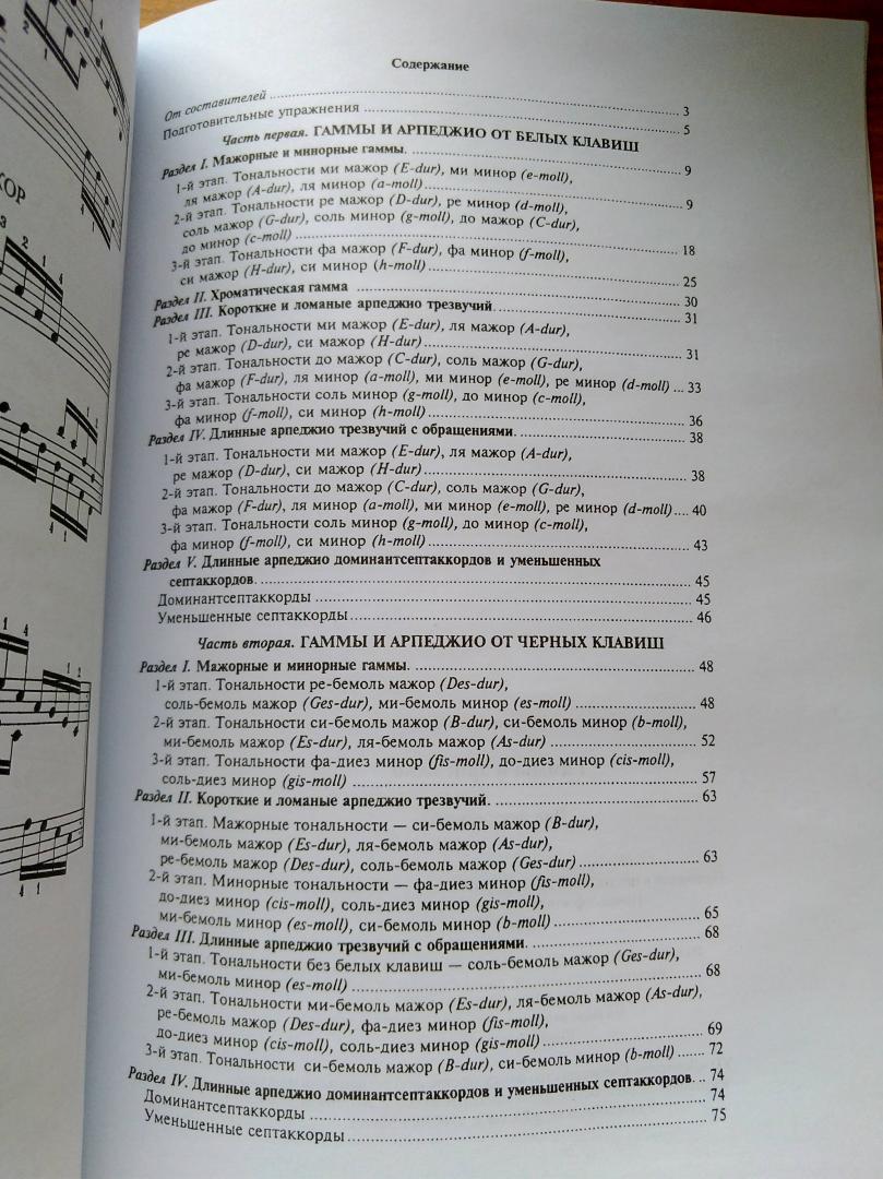 Иллюстрация 14 из 17 для Гаммы и арпеджио для фортепиано | Лабиринт - книги. Источник: Огуй  Светлана Анатольевна