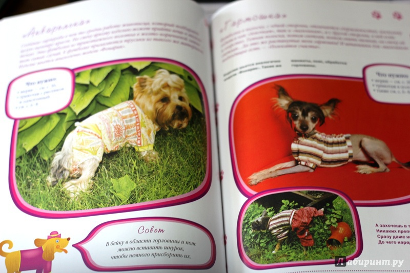 Иллюстрация 13 из 28 для Одежда для собак + выкройки - Макарова, Елизарова | Лабиринт - книги. Источник: Лабиринт