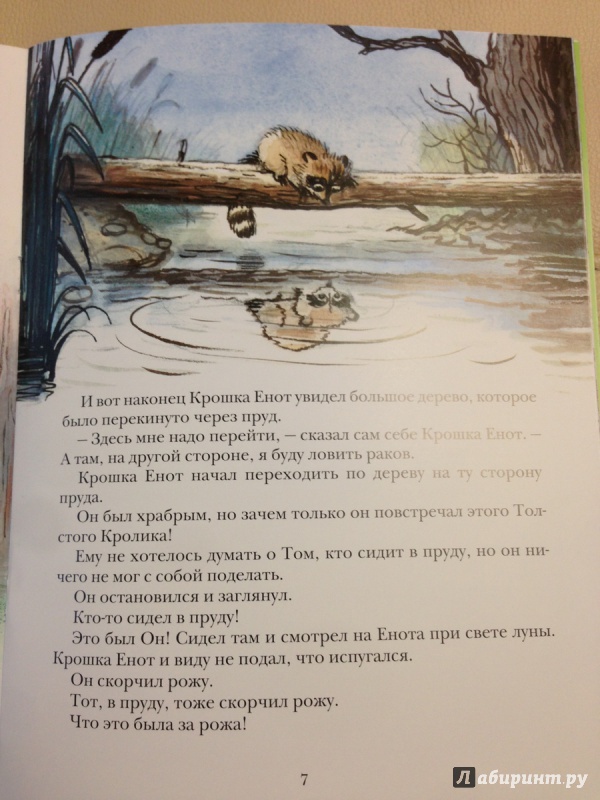 Иллюстрация 15 из 97 для Крошка Енот и тот, кто сидит в пруду - Лилиан Муур | Лабиринт - книги. Источник: antonnnn