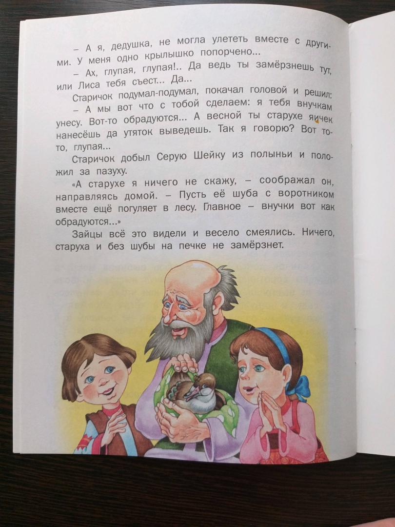 Иллюстрация 4 из 7 для Серая шейка ( по Д. Н. Мамину-Сибиряку) | Лабиринт - книги. Источник: Талышева Анастасия