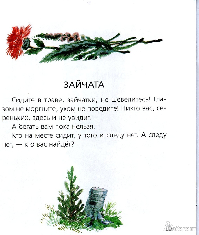 Иллюстрация 6 из 10 для Большие и маленькие - Евгений Чарушин | Лабиринт - книги. Источник: covaolya