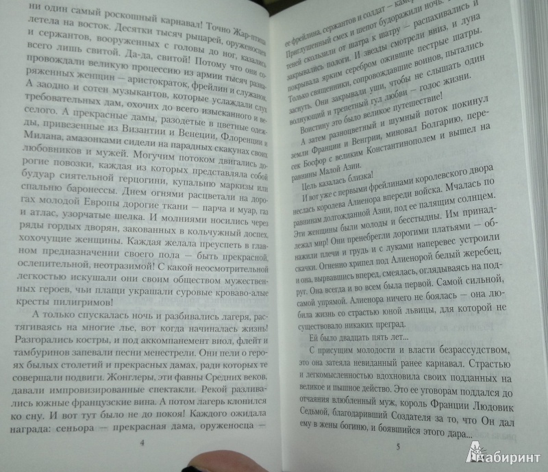 Иллюстрация 4 из 4 для Аквитанская львица - Дмитрий Агалаков | Лабиринт - книги. Источник: Леонид Сергеев