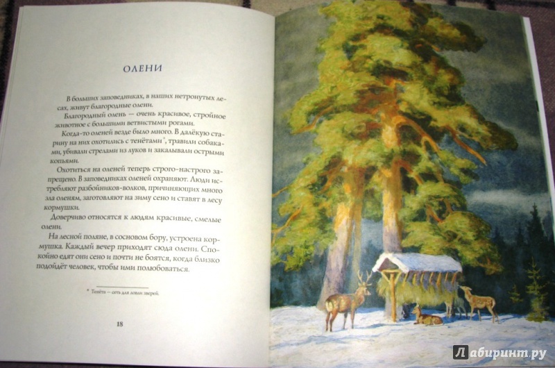 Иллюстрация 36 из 64 для Зима в лесу - Иван Соколов-Микитов | Лабиринт - книги. Источник: Бог в помощь