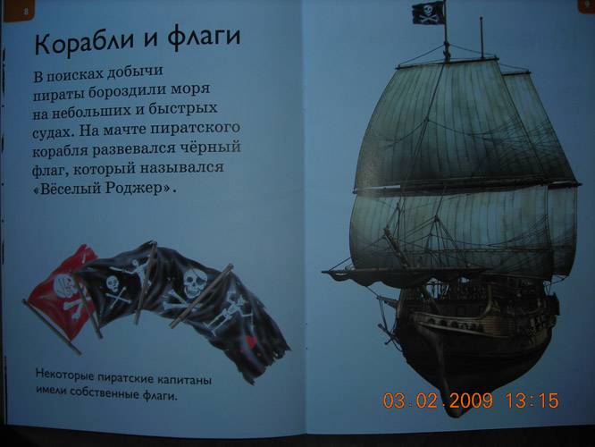 Иллюстрация 4 из 18 для Пираты - Дениз Райан | Лабиринт - книги. Источник: Плахова  Татьяна