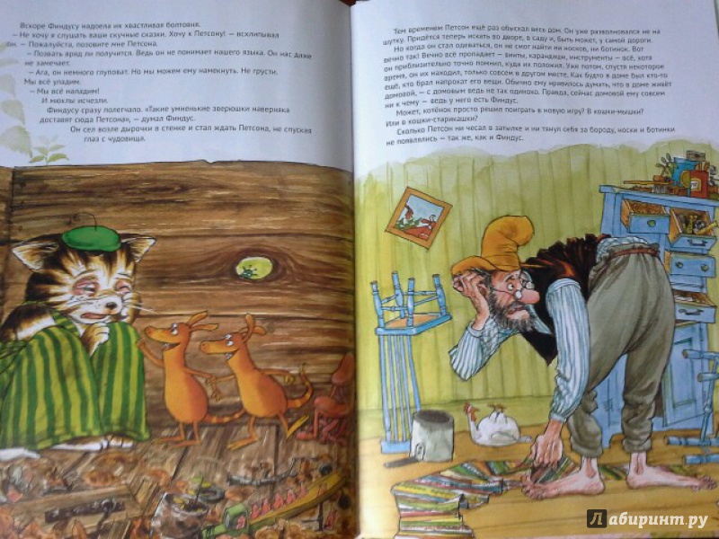 Иллюстрация 68 из 102 для История о том как Финдус потерялся, когда был маленьким - Свен Нурдквист | Лабиринт - книги. Источник: Юлия