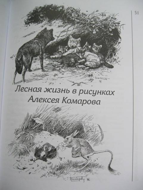 Иллюстрация 33 из 54 для Бесконечная сказка | Лабиринт - книги. Источник: NINANI