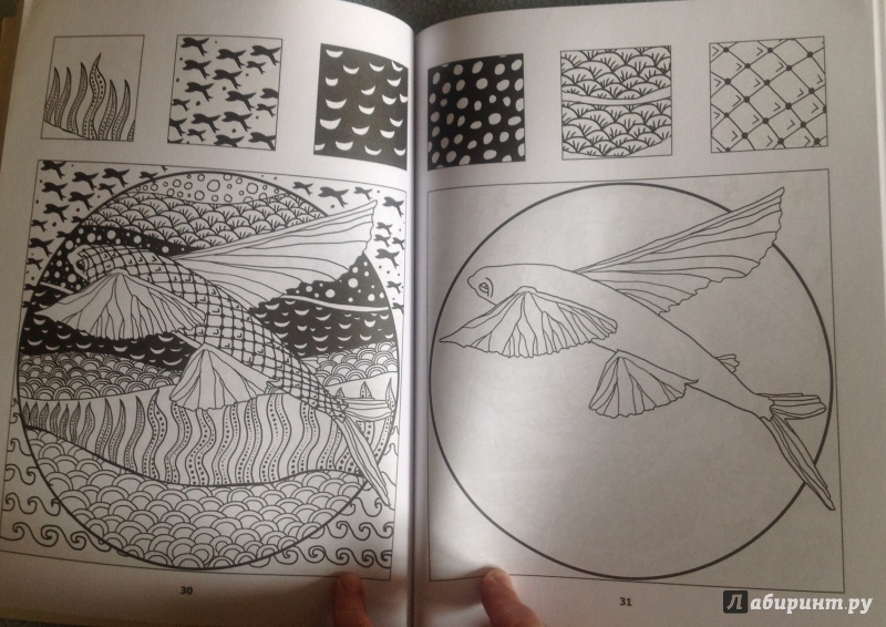 Иллюстрация 7 из 23 для Загадочный океан. Один день - один зендудл - Екатерина Иолтуховская | Лабиринт - книги. Источник: Kabachok
