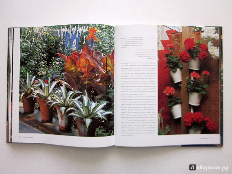 Иллюстрация 24 из 24 для Внутренний дворик. Дизайн, мебель и растения для сада - Дэвид Стивенс | Лабиринт - книги. Источник: Анастасия Шаравина
