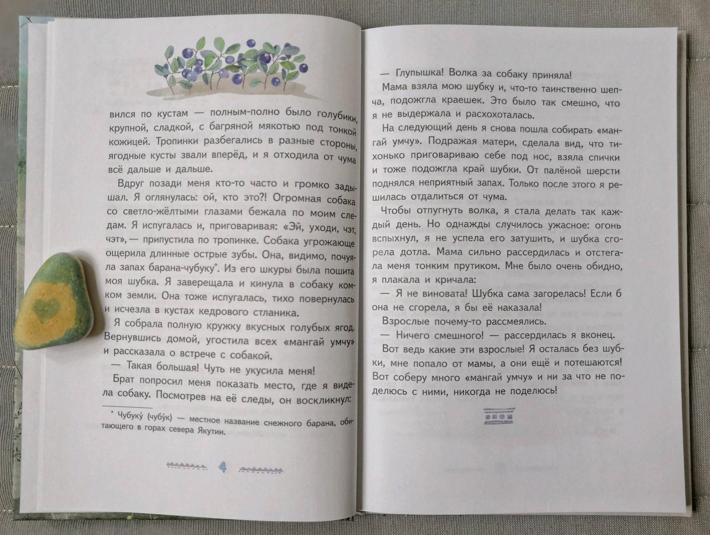 Иллюстрация 13 из 74 для Игра в камешки - Мария Федотова | Лабиринт - книги. Источник: Аникина  Наталья
