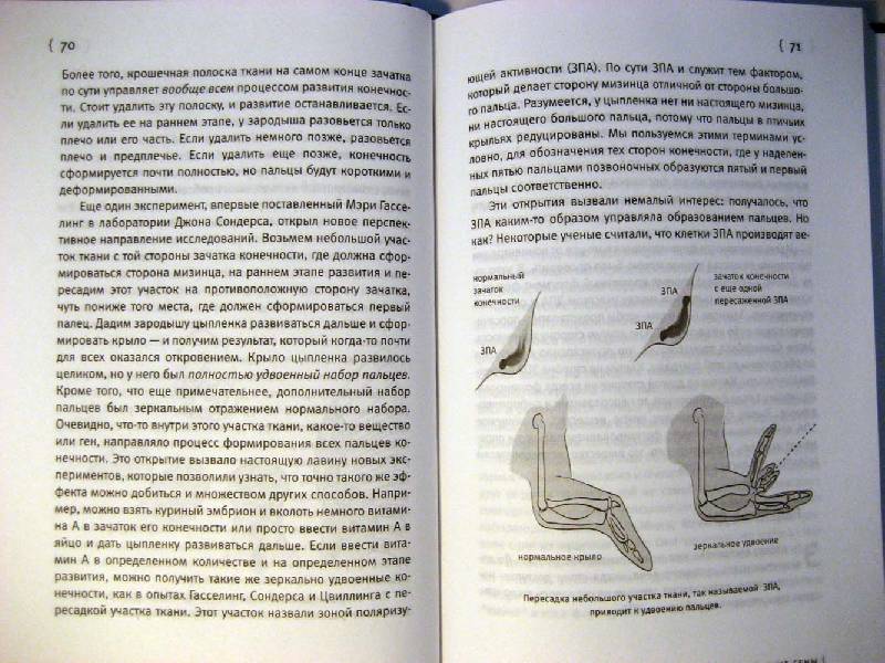 Иллюстрация 11 из 27 для Внутренняя рыба: История человеческого тела с древнейших времен до наших дней - Нил Шубин | Лабиринт - книги. Источник: Galoria