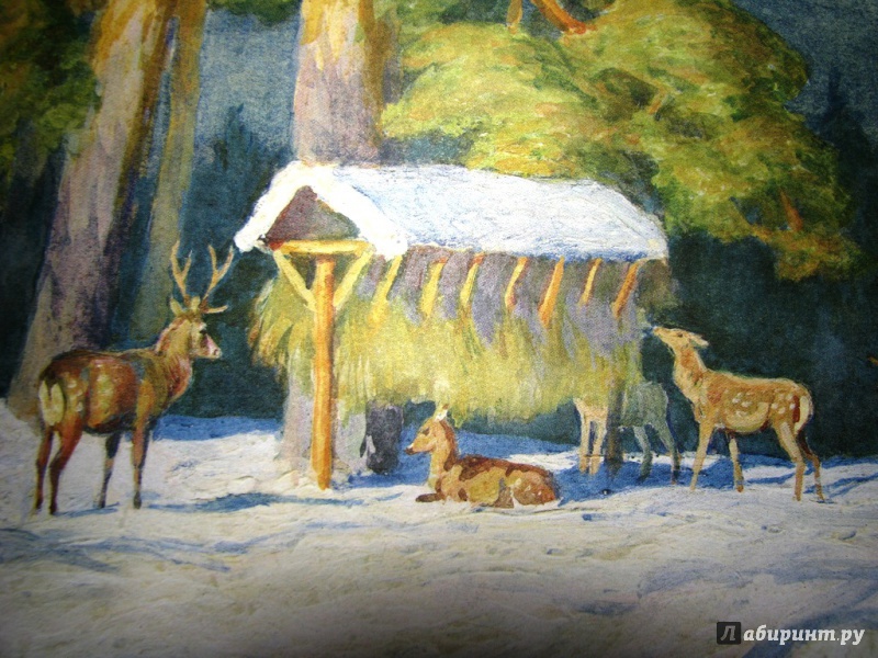 Иллюстрация 37 из 64 для Зима в лесу - Иван Соколов-Микитов | Лабиринт - книги. Источник: Бог в помощь
