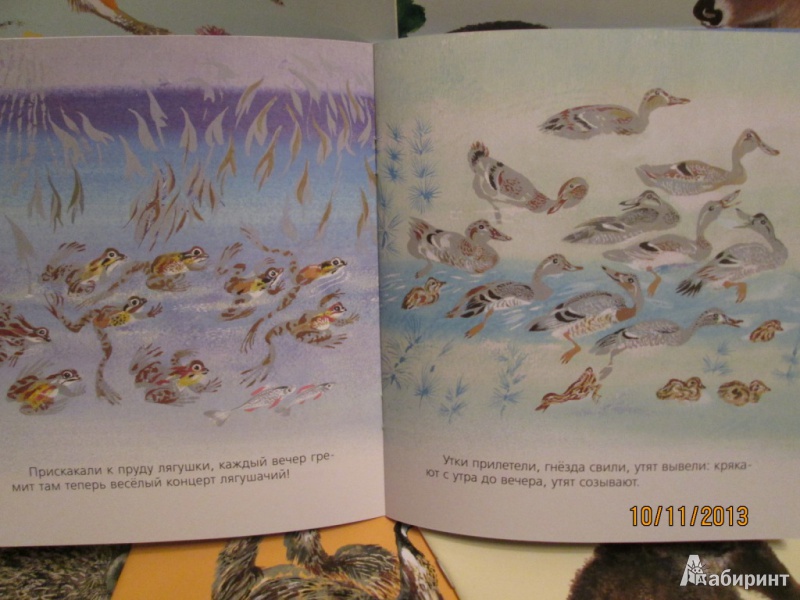 Иллюстрация 5 из 25 для Бобровый пруд - Николай Сладков | Лабиринт - книги. Источник: Алонсо Кихано